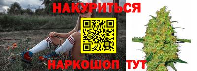 дмт Кинель