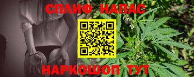 трава Кингисепп