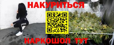 трава Кингисепп