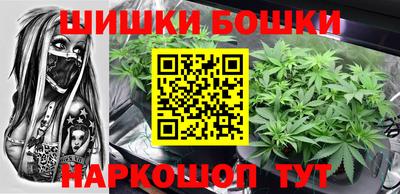 трава Кингисепп
