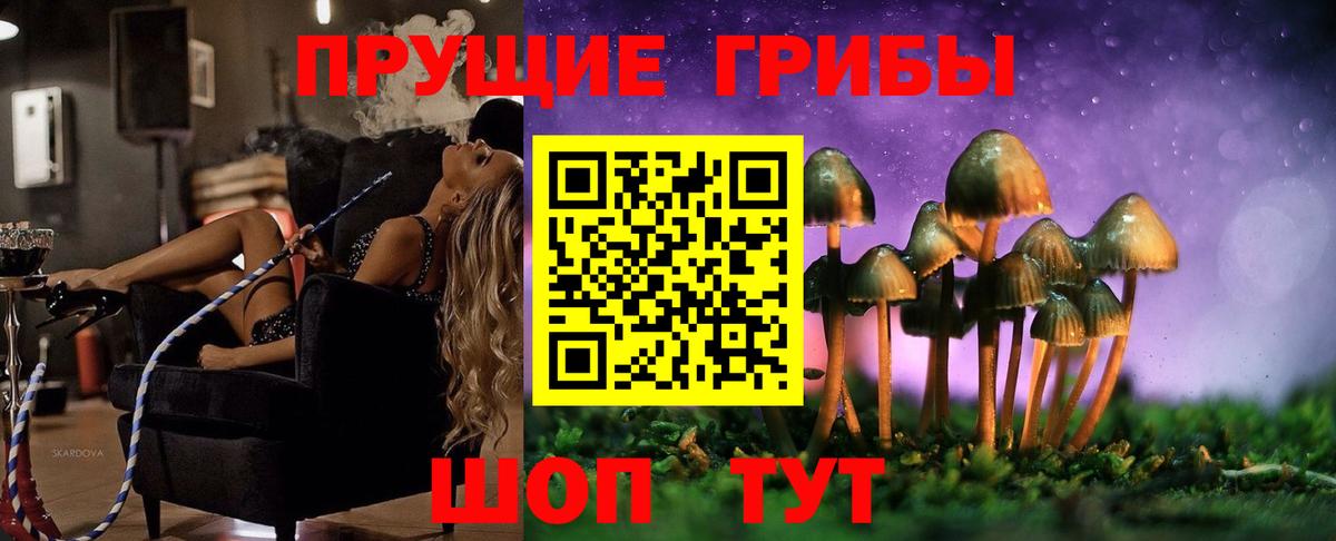 Галлюциногенные грибы прущие грибы Буйнакск