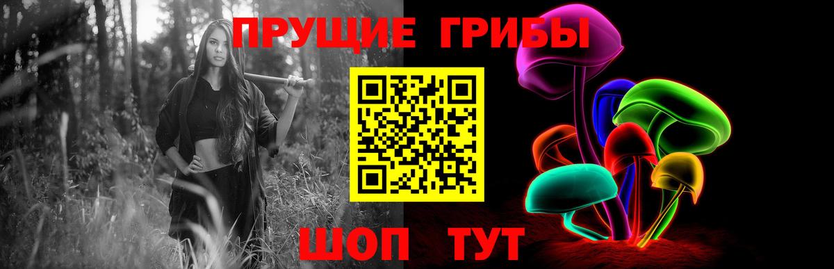Буйнакск  Псилоцибиновые грибы Psilocybe  Псилоцибиновые грибы Magic Shrooms  Вход с VPN 